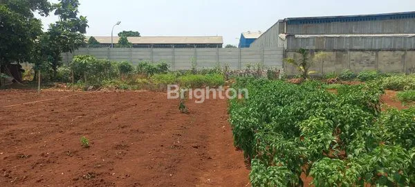 image TANAH KOSONG 600 M2 DI CIBINONG BOGOR (2)