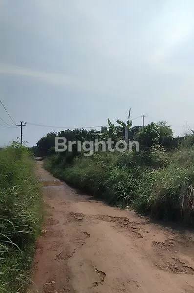 image KAVLING SELUAS 3.041 METER DI PARUNG HIJAU BOGOR SIAP UNTUK DIBANGUN (8)