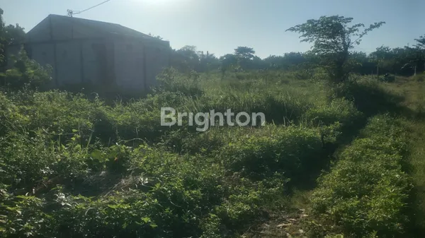 image TANAH SOLO BARU DEKAT PABRIK DAN MALL COCOK UNTUK KOS KOS-AN (2)