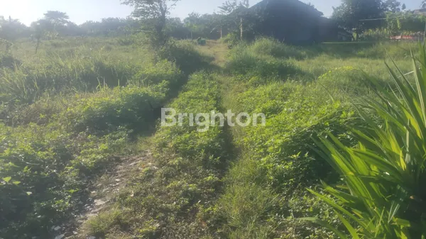 image TANAH SOLO BARU DEKAT PABRIK DAN MALL COCOK UNTUK KOS KOS-AN (6)