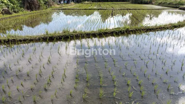 image TANAH,KECAMATAN KERAMAS (4)