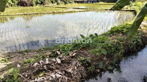 image TANAH,KECAMATAN KERAMAS (6)