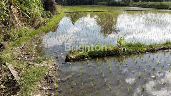 image TANAH,KECAMATAN KERAMAS (3)
