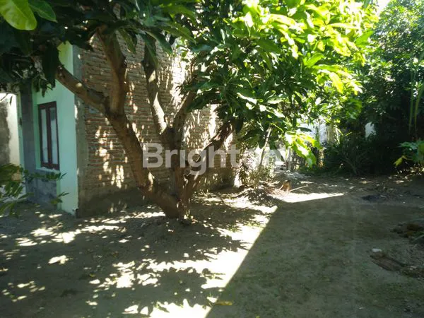 image RUMAH 2KAVLING AREA NGASEM, KEDIRI (4)