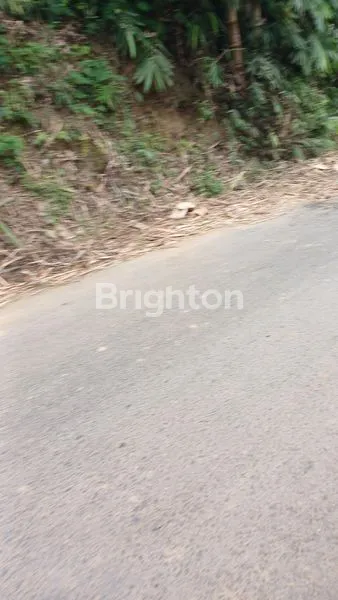 image TANAH KEBUN MURAH BUANGETTTT MASIH NEGO (5)