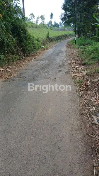 image TANAH KEBUN MURAH BUANGETTTT MASIH NEGO (4)