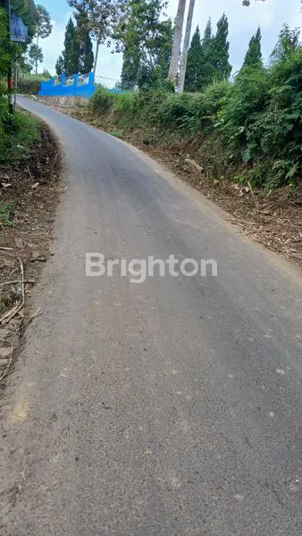 image TANAH KEBUN MURAH BUANGETTTT MASIH NEGO (3)