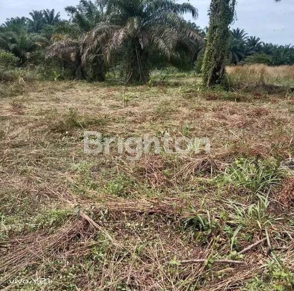 image TANAH DENGAN LOKASI STRATEGIS DAN SANGAT COCOK UNTUK INVEST, JL. GARUDA SAKTI, KM 18, KEC. TAPUNG, KAB. KAMPAR. RIAU (5)