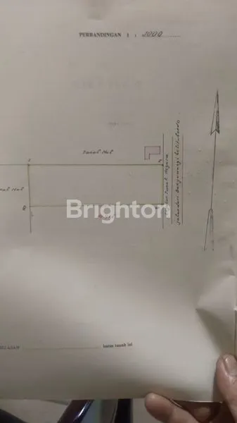 image TANAH POROS NOL JALAN PROVINSI BANYUWANGI SITUBONDO, STRATEGIS DI NOL JALAN KEMBAR DOUBLE WAY, SHM BISA KPR, COCOK UNTUK KANTOR/GUDANG/SEKOLAH/HOTEL DLL (3)