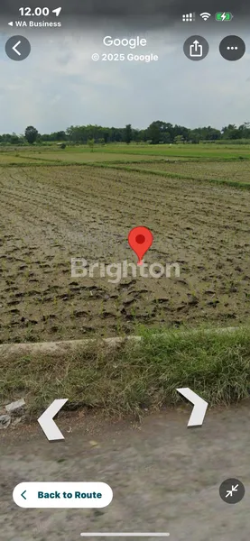 JUAL TANAH MURAH PAJARAKAN