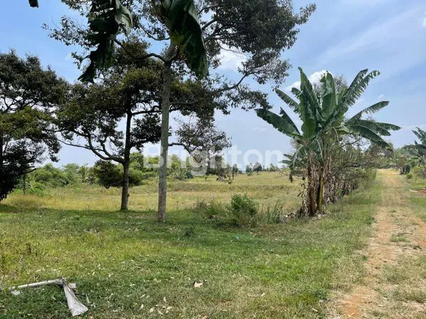 image TANAH 10,8 H ZONA HIJAU DI SUBANG PERUNTUKAN PERTANIAN DAN PERKEBUNAN (1)