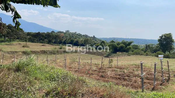 image TANAH 10,8 H ZONA HIJAU DI SUBANG PERUNTUKAN PERTANIAN DAN PERKEBUNAN (3)