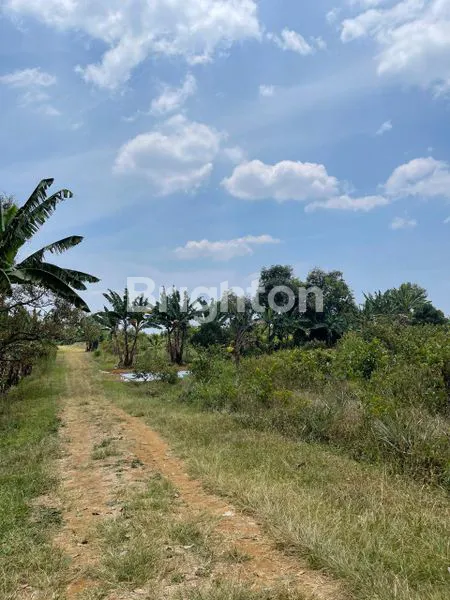 image TANAH 10,8 H ZONA HIJAU DI SUBANG PERUNTUKAN PERTANIAN DAN PERKEBUNAN (7)