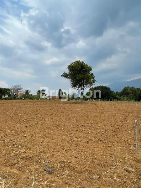 image TANAH 10,8 H ZONA HIJAU DI SUBANG PERUNTUKAN PERTANIAN DAN PERKEBUNAN (2)