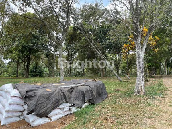 image TANAH 10,8 H ZONA HIJAU DI SUBANG PERUNTUKAN PERTANIAN DAN PERKEBUNAN (5)
