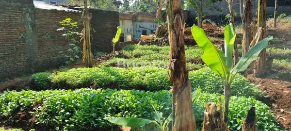 image JUAL TANAH MANGUNSARI GUNUNGPATI (8)