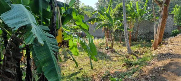 image JUAL TANAH MANGUNSARI GUNUNGPATI (7)