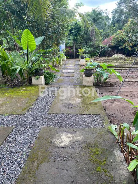 image SEWA VILLA NYAMAN, 4 KAMAR & DEKAT FASILITAS UMUM (8)