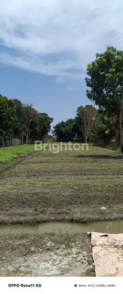 image TANAH STRATEGIS 5.658 M2 DI JALAN LINTAS TEMBUNG - BATANG KUIS (3)