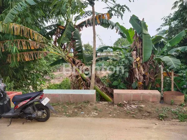 image RUMAH TUA LUAS TANAH 60M² (4)