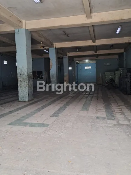 image DIJUAL CEPAT RUKO GANDENG 5 LANTAI  DI LOKASI EMAS, PADEMANGAN, JAKARTA UTARA (4)