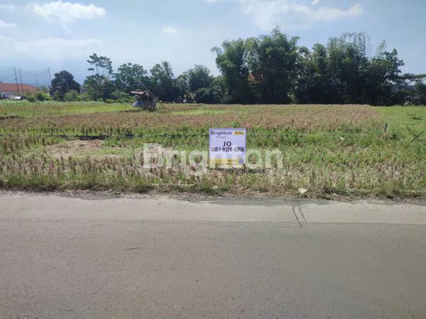 image TANAH AREA KARANGPLOSO , TELASIH (4)