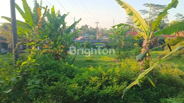 image LAHAN DISEWAKAN UNTUK USAHA (2)