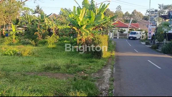 image LAHAN DISEWAKAN UNTUK USAHA (5)