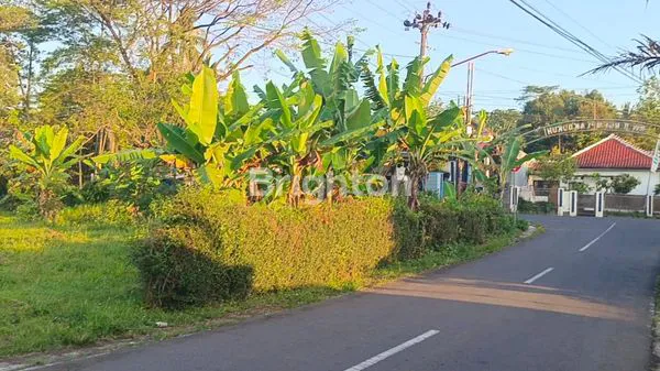 image LAHAN DISEWAKAN UNTUK USAHA (6)