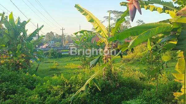 image LAHAN DISEWAKAN UNTUK USAHA (3)