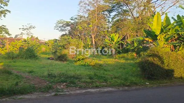 image LAHAN DISEWAKAN UNTUK USAHA (7)