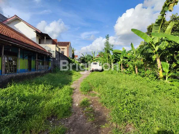 image TANAH STRATEGIS DI JAMBON DEKAT JL MAGELANG (2)