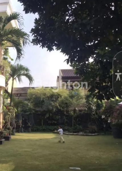 image TANAH KAVLING DI BINTARO JAYA  (1)