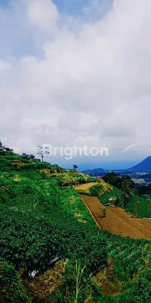 image TANAH DATAR SIAP BANGUN AREA JOGONAYAN NGABLAK MAGELANG (2)