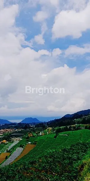 image TANAH DATAR SIAP BANGUN AREA JOGONAYAN NGABLAK MAGELANG (5)