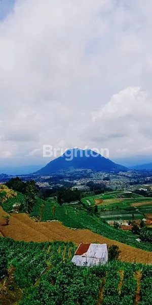 image TANAH DATAR SIAP BANGUN AREA JOGONAYAN NGABLAK MAGELANG (6)