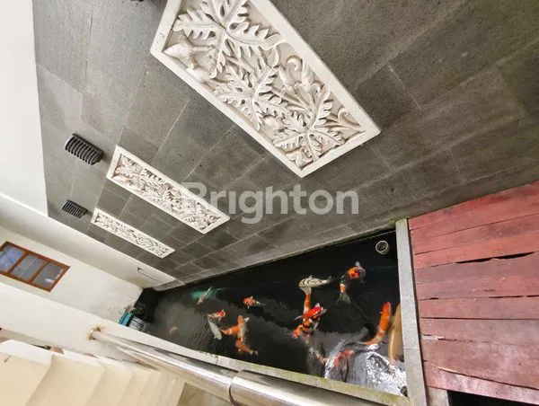 image RUMAH LUAS ADA KOLAM RENANG LUMAJANG (6)