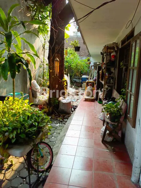 image RUMAH MENUR PUMPUNGAN  (4)