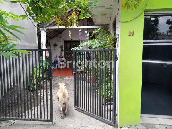 image RUMAH MENUR PUMPUNGAN  (1)