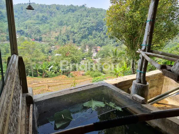 image TANAH KEBUN DAN VILLA DI PURWAKARTA LUAS 1738 MURAH BANGET (7)