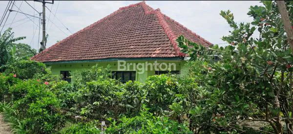 image RUMAH SEJUK DEKAT WISATA VILLA KOMANDO CIWIDEY (4)