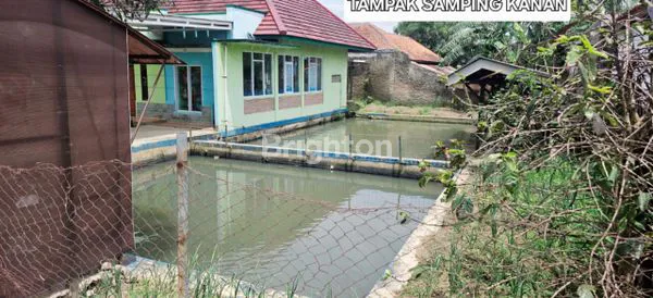 image RUMAH SEJUK DEKAT WISATA VILLA KOMANDO CIWIDEY (7)