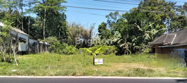 image TANAH LUAS PANDANSARI SALATIGA (1)