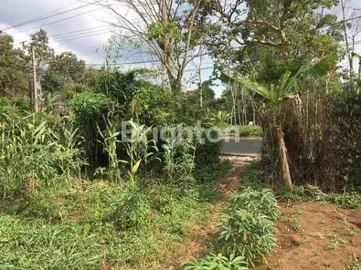 image TANAH LUAS 8900M2 DI JALAN RAYA WARUNG SIMPANG, SUMEDANG (4)