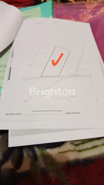 image TANAH 3000M2 PURWODADI PASURUAN (2)