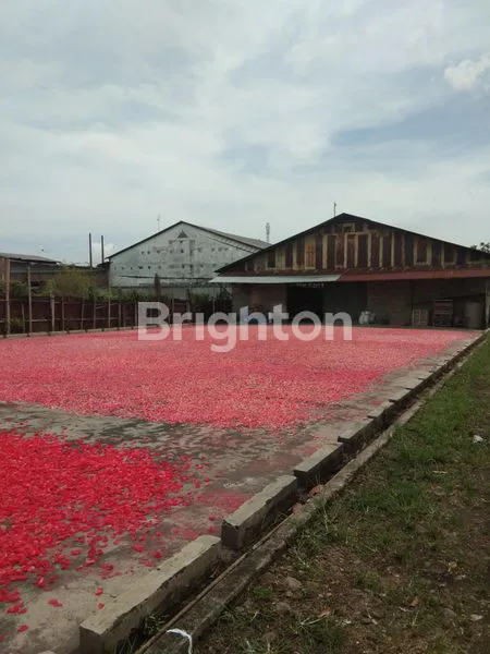 image TANAH KOSONG UNTUK PABRIK (4)