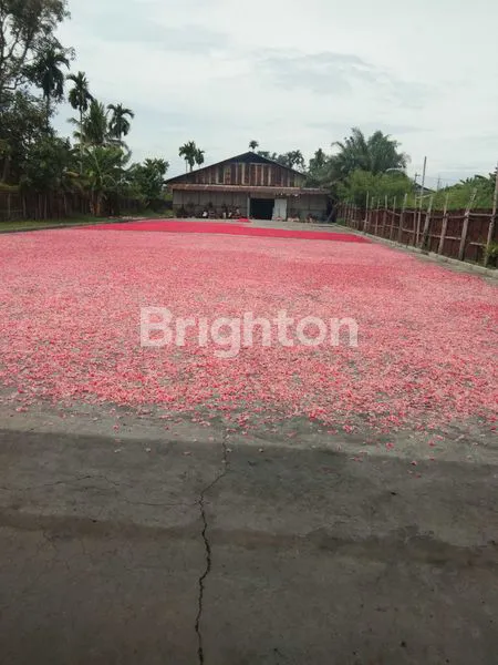 image TANAH KOSONG UNTUK PABRIK (2)