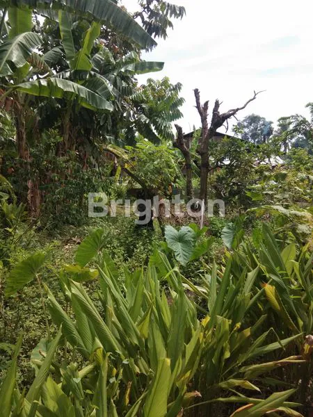 image TANAH KOSONG UNTUK PABRIK (8)