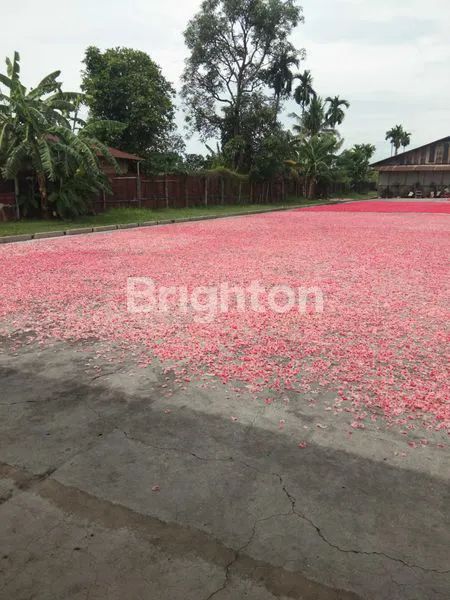 image TANAH KOSONG UNTUK PABRIK (1)