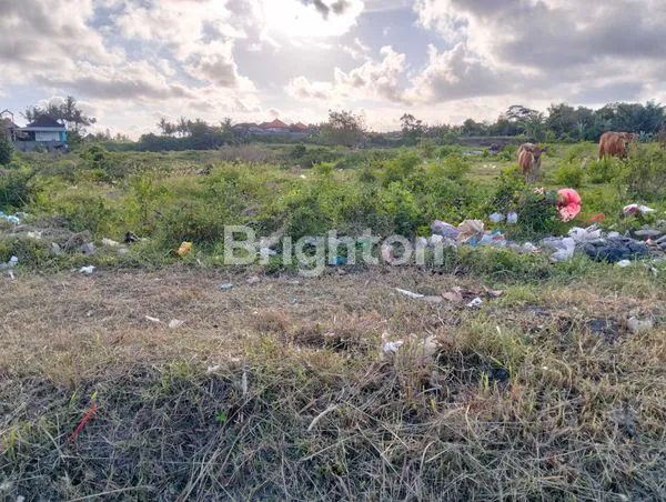 image TANAH 7 HEKTAR KETEWEL, BYPASS PROF DR IDA BAGUS MANTRA (8)